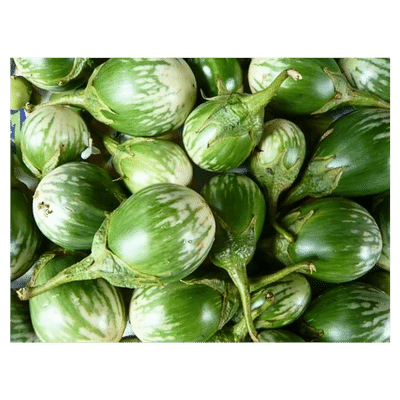 Green Small Brinjal