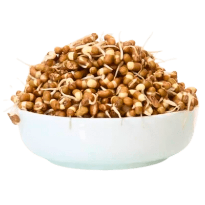 Sprouted Moth (Matki) 200g