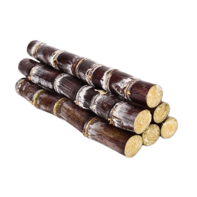 [VEG-82] Sugarcane Purple (1pc) (~35cm, 350g) (Best to use for Pongal!!)