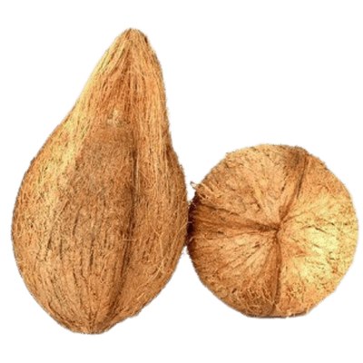 Pooja (Puja) Coconut (1pc)