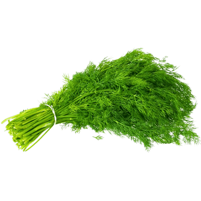[VEG-25] Dill Leaves (bunch)