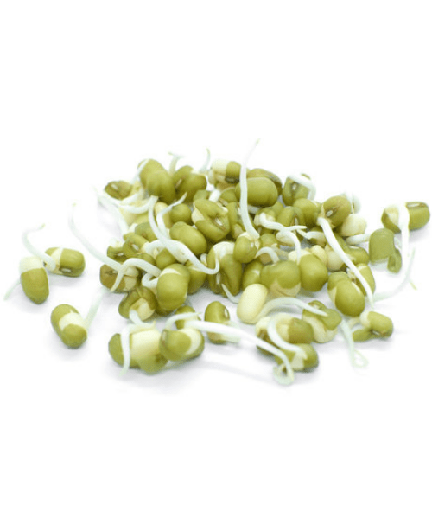 [Vg-177] Sprouted Green Mung 150g