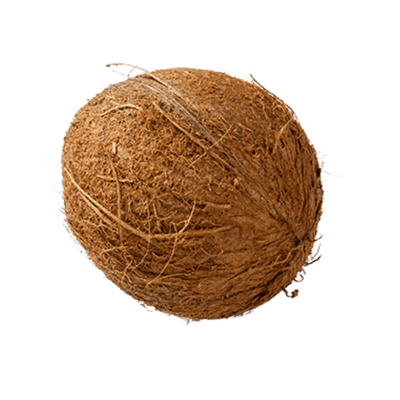 [VEG-95] Whole Coconut (1pc)