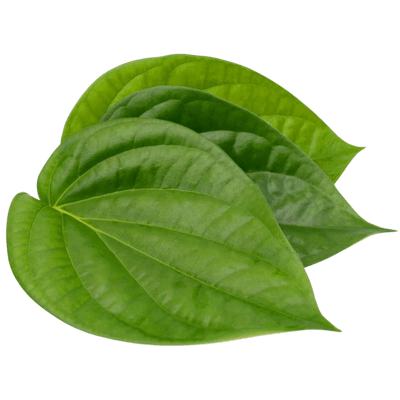 [VEG-12] Betel Leaves (per pc)