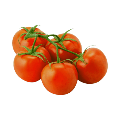 [VEG-90] Tros Tomato