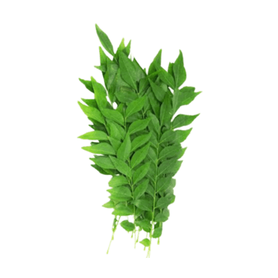 [VEG-24] Curry Leaves (20g)