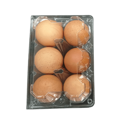 [VEG-17-1] Brown Eggs (L size 6 pcs)