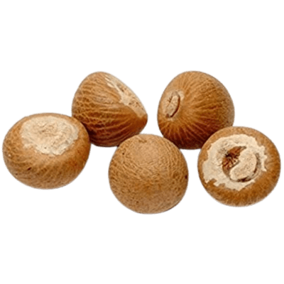 [POOJA-1191] White Whole Betel Nuts (Pandhri Supari, 5pcs set)