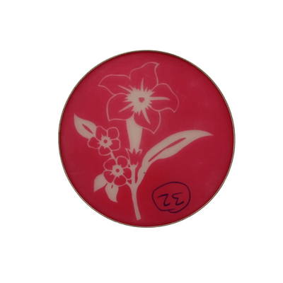 Rangoli Design Jali (Big Circle,1pc) - Rangoli Design Jali no.6 (Big Circle)