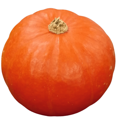 [VEG-27] Dutch Red Pumpkin (1 pc, approx. 700g)