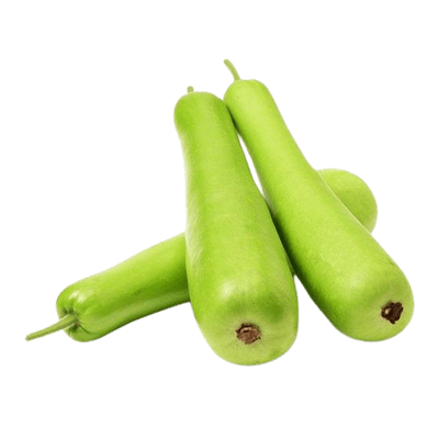 [VEG-16-2] Bottle Gourd (Dudhi) (~600g) pc