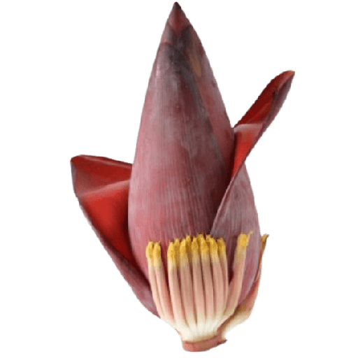 [VEG-07-1] Banana Flower (~500g) pc