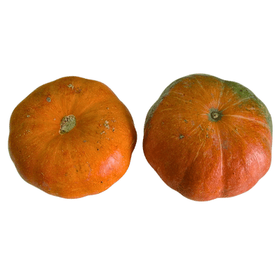 [VEG-47] Indian Red Pumpkin (~500g) pc