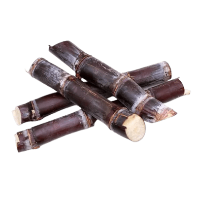 [VEG-71] Red Sugarcane (1 pc)