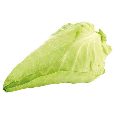 [VEG-79] Spitskool (White Cabbage) pc