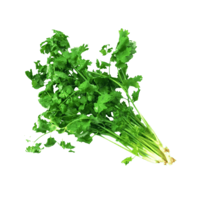 [VEG-22] Coriander (1 bunch)