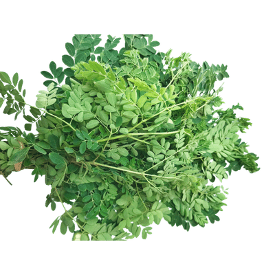 [VEG-26-2] Moringa (Drumsticks) Leaves (325g, per bunch)