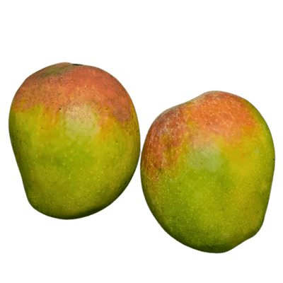 [FRU-18-1] Payari Mangoes (6pcs)