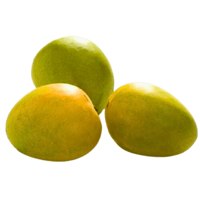 [FRU-17] Neelam Mangoes (12pcs)