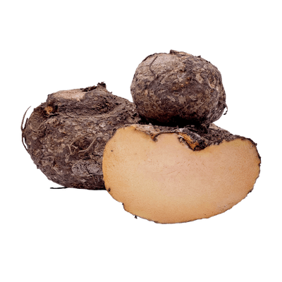 [VEG-83-2] Suran (500g)